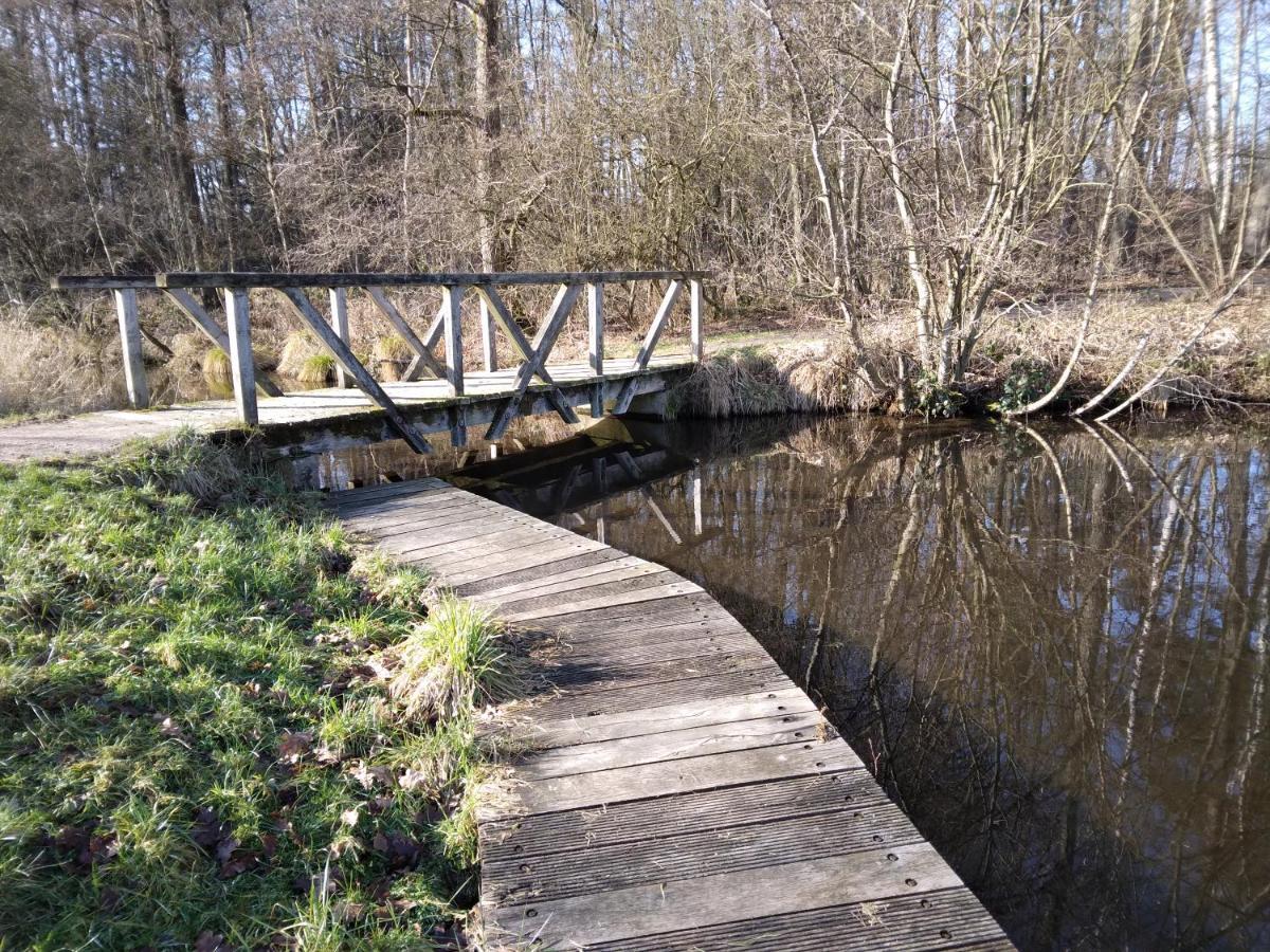 Waldhaus Emma Villa Suderburg Exteriör bild